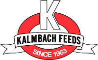 Kalmbach 2019