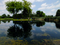 fish 05_11_11_0006.JPG